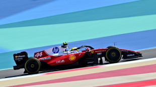 Norris quickest in Bahrain as Hamilton calls for 'equal playing field'