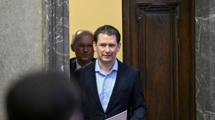 Letzter Verhandlungstag in Strafprozess gegen Österreichs Ex-Kanzler begonnen