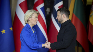 Ue, 'entro giugno il primo esborso del prestito da 90 miliardi a Kiev'