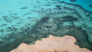 El franc&eacute;s Chicherit se impone en una jornada dura para Carlos Sainz