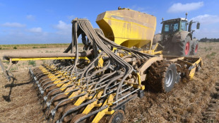 Auflagen für Landwirte: Brüssel macht Zugeständnisse beim Brachland-Anteil