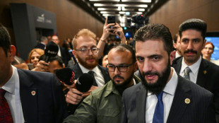 Erdogan wirft Israel Torpedierung der "Revolution" in Syrien vor