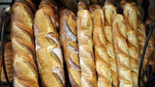 Boulangers, fleuristes... Le S&eacute;nat autorise le travail des salari&eacute;s de certains &eacute;tablissements le 1er-Mai