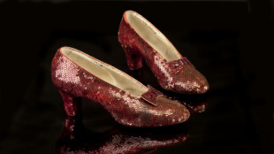 Idoso se declara culpado de roubar sapatos de 'O M&aacute;gico de Oz'