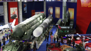 Corea del Norte dice que envi&oacute; "medios especiales" contra el Sur