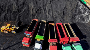 Studie: Ausbau von Kohlekraftwerken gef&auml;hrdet Chinas Klimaziele