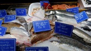 Millones de brit&aacute;nicos se saltan comidas por el aumento de los precios