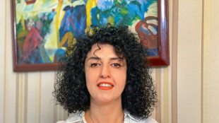 La nobel iran&iacute; Narges Mohammadi dice estar "amenazada de eliminaci&oacute;n f&iacute;sica"