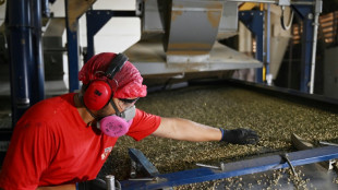 Economia cresce 1,4% no 2&ordm; trimestre de 2024