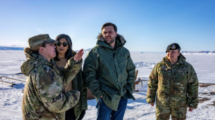 Kommandeurin von US-St&uuml;tzpunkt auf Gr&ouml;nland nach Vance-Besuch gefeuert