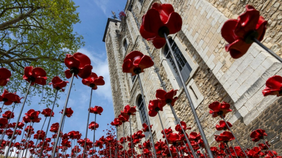 Poppies flourish at Tower of London for WWII anniversary