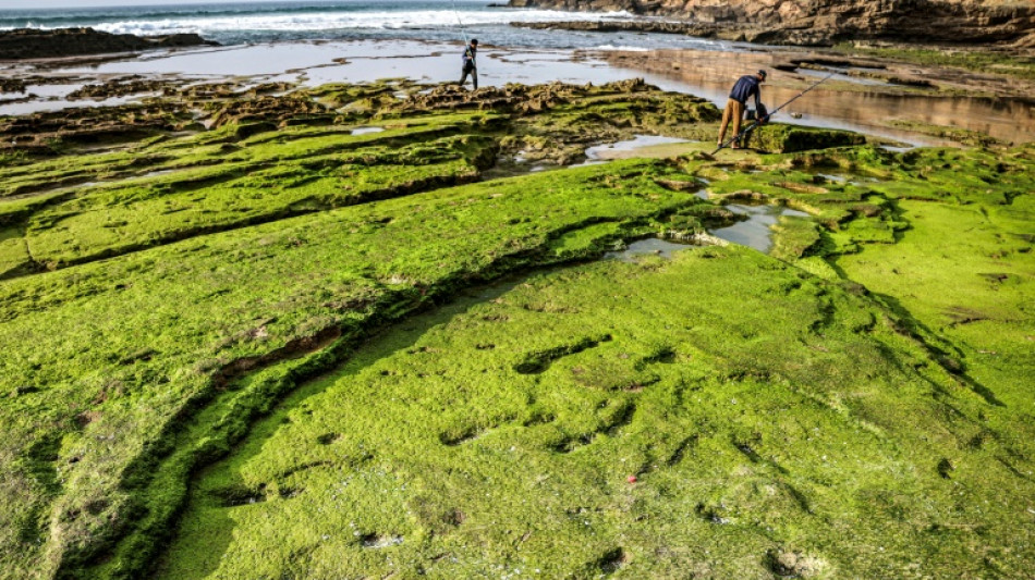 Descubren en Marruecos huellas humanas de m&aacute;s de 100.000 a&ntilde;os