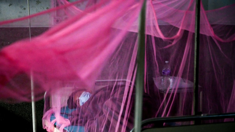 Au Népal, l'inquiétante réapparition de la dengue