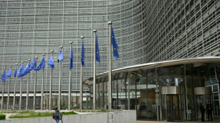 EU-Greenwashing-Verbot: Handelsverband fordert &Uuml;bergangsfristen