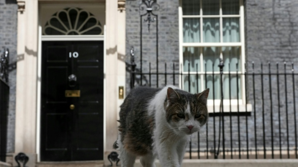 Los primeros ministros se suceden en Downing Street, pero Larry el gato permanece