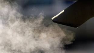 German prosecutors seek jail terms in VW 'dieselgate' trial