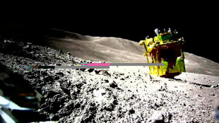 L'engin lunaire japonais SLIM s'est rallumé, après deux semaines de repos forcé