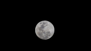 Coltivare cibo sulla Luna, studio dell'Universit&agrave; di Camerino apre nuove frontiere
