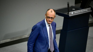 Merz geht auf Distanz zu Trump: Kritik an Zolldrohungen und Nato-&Auml;u&szlig;erungen