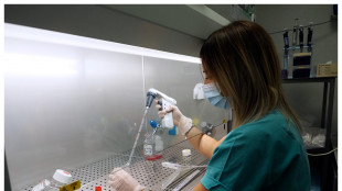 Trovato il gene chiave che rende aggressivo il tumore alle ovaie