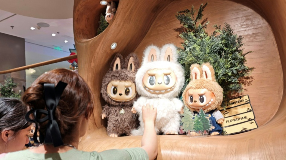Chine: la police d&eacute;mant&egrave;le un groupe criminel vendant des peluches Labubu contrefaites