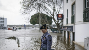 Colapsa un viaducto en una autopista de Portugal tras tormentas e inundaciones repentinas