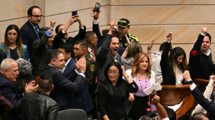 Senado da Col&ocirc;mbia rejeita consulta popular de Petro, que acusa 'fraude'