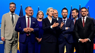 "Wir werden siegen": AfD-Spitze bekr&auml;ftigt zum Ende des Parteitags Machtanspruch 