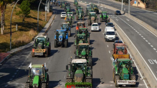 Landwirtschaftsverbände schließen sich Bauernprotesten in Spanien an