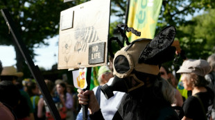 Uproar in France over reintroduction of bee-harming pesticides