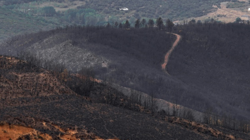 Espa&ntilde;a da por finalizada la emergencia por la ola de incendios forestales