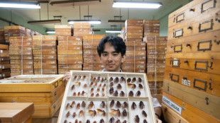 Philippines' 'Cockroach Lord' goes to bat for misunderstood bugs