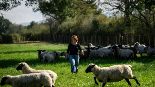 Une comédienne devenue éleveuse, un pari fou sauvé par une foncière solidaire