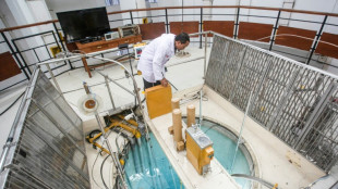 Nuclear option: Indonesia seeks to grow energy, cut emissions