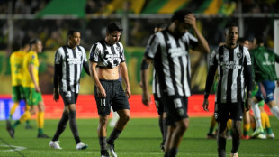 Bitter pill for Botafogo, Textor as Brazil title slips away