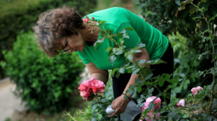 Përmet, la ville albanaise qui voit la vie en roses