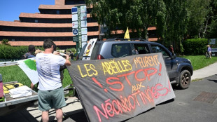 Loi Duplomb: des milliers d'opposants au texte mobilisés ce week-end en France 