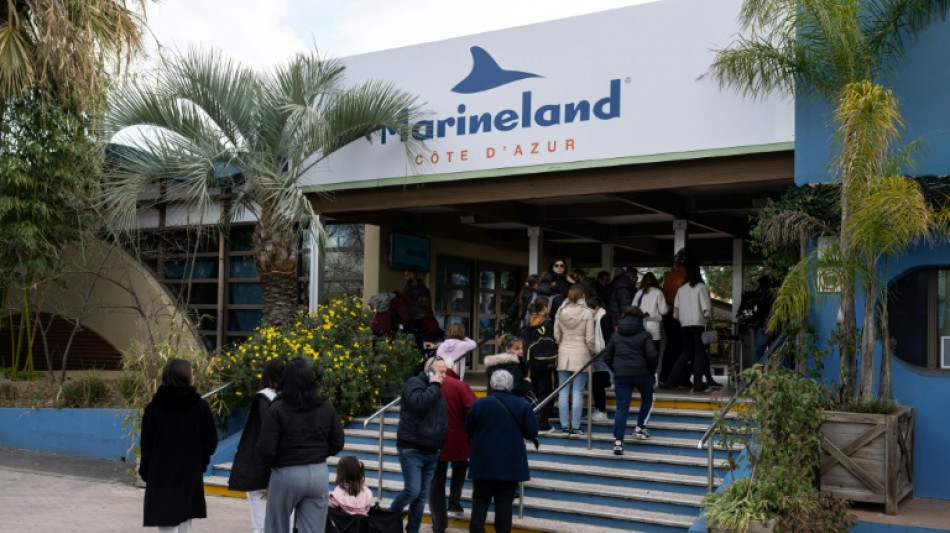 Marineland exhorte les pouvoirs publics à agir pour le transfert de ses cétacés