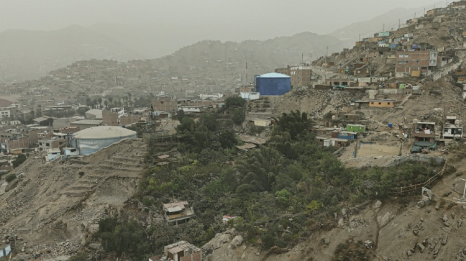 Au cœur du désert urbain de Lima, l'oasis verte d'une femme des Andes péruviennes