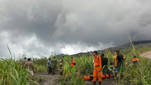 Indonesia rescuers search for hikers killed in volcanic eruption 