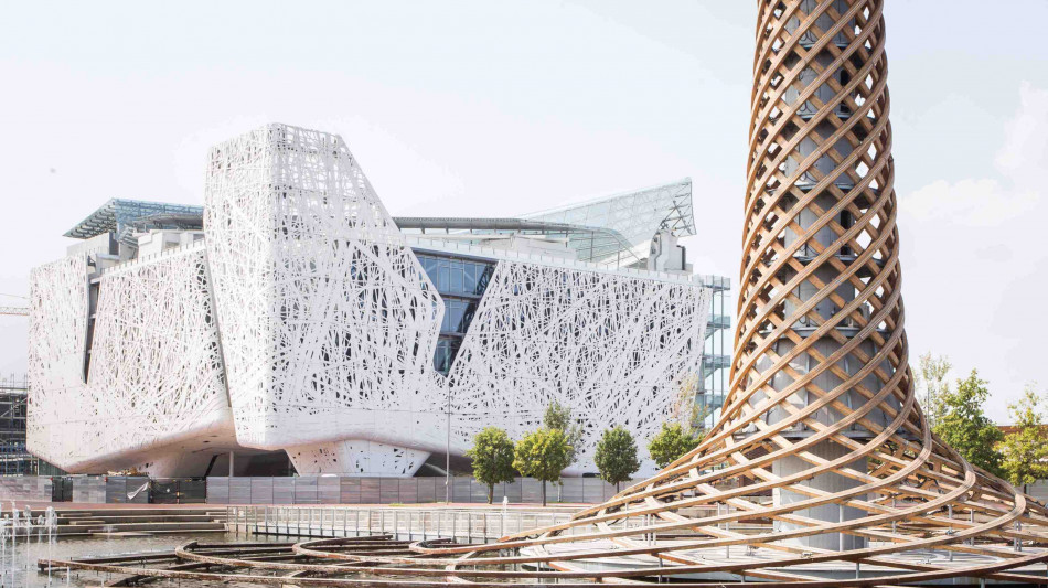 L'IA aiuta a prevedere le recidive del tumore alla prostata