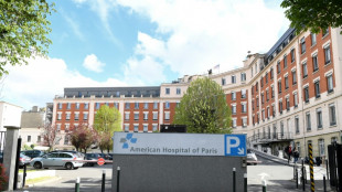 AI tools help choose best embryos for IVF