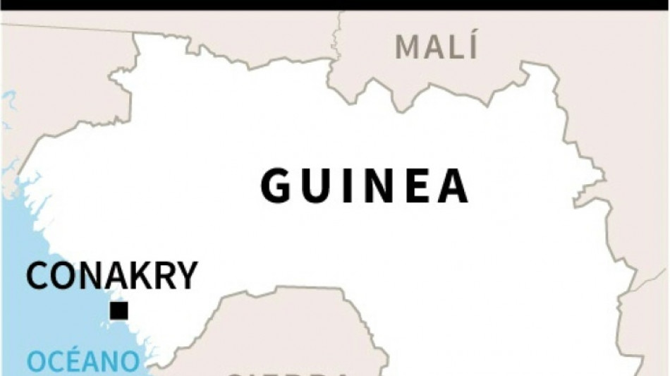Al menos 56 muertos en Guinea por una "avalancha" en un partido de f&uacute;tbol