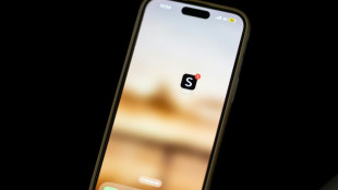 Comprendre la polémique autour de Shein, emblème de l'"ultra fast fashion"