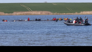 German rescuers launch new bid to free stranded whale