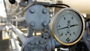 Il prezzo del gas schizza oltre 48 euro con nuove tensioni Usa-Iran