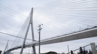 Neue US-Z&ouml;lle: Kanada sagt Er&ouml;ffnung von gemeinsamer Br&uuml;cke ab