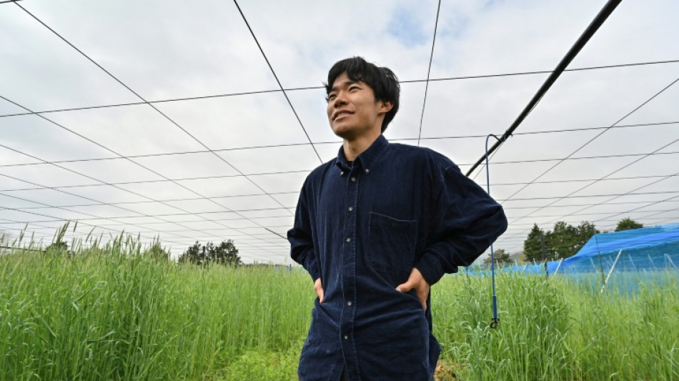 'Moving forward': the Gen-Z farmer growing Fukushima kiwis
