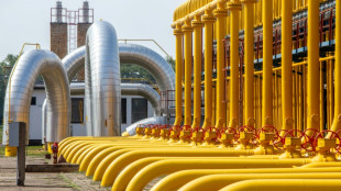 Niedriger F&uuml;llstand in Gasspeichern: Gr&uuml;nen-Politiker besorgt - Regierung beruhigt