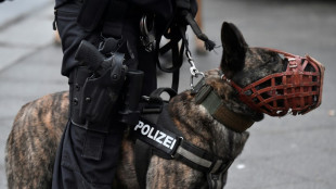 29-J&auml;hriger bei&szlig;t Polizeihund bei Kontrolle in Hessen - Tier unverletzt